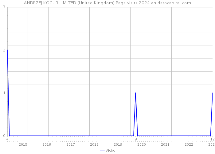 ANDRZEJ KOCUR LIMITED (United Kingdom) Page visits 2024 