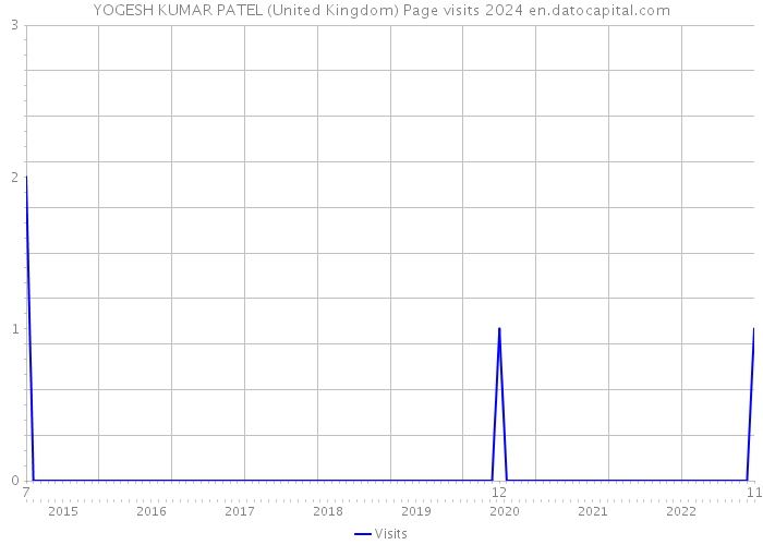 YOGESH KUMAR PATEL (United Kingdom) Page visits 2024 