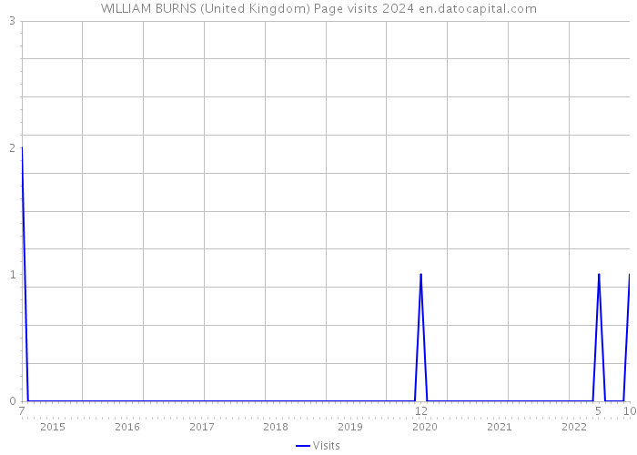 WILLIAM BURNS (United Kingdom) Page visits 2024 