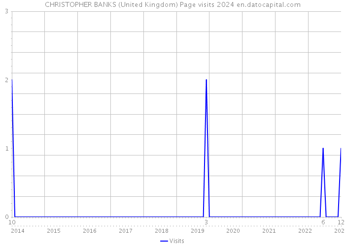 CHRISTOPHER BANKS (United Kingdom) Page visits 2024 