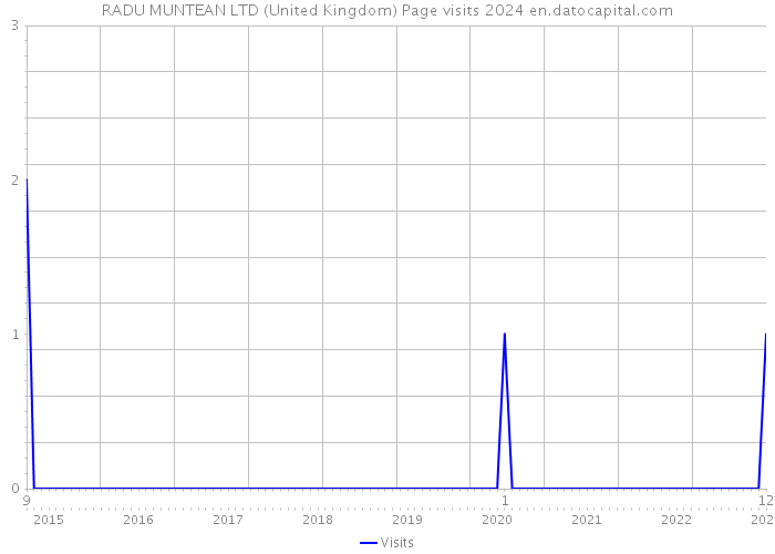 RADU MUNTEAN LTD (United Kingdom) Page visits 2024 