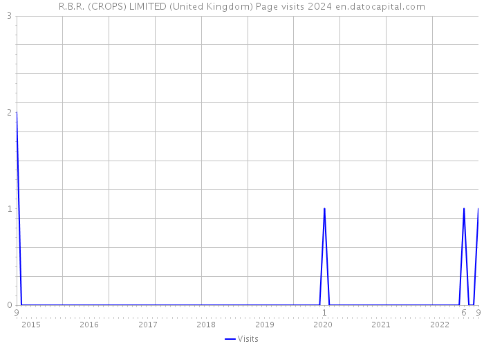 R.B.R. (CROPS) LIMITED (United Kingdom) Page visits 2024 