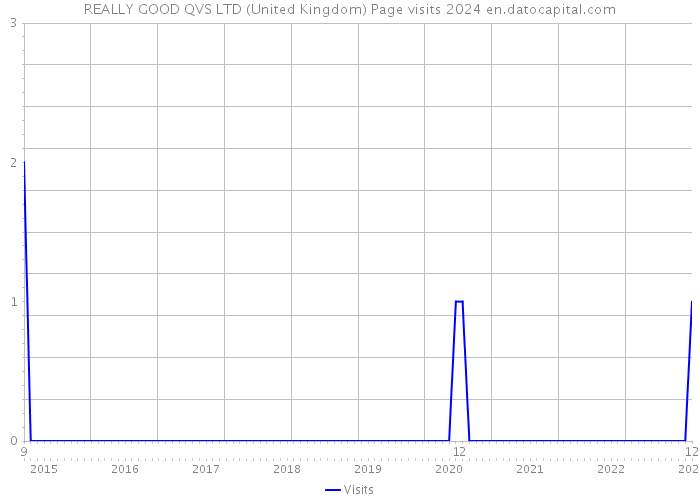 REALLY GOOD QVS LTD (United Kingdom) Page visits 2024 