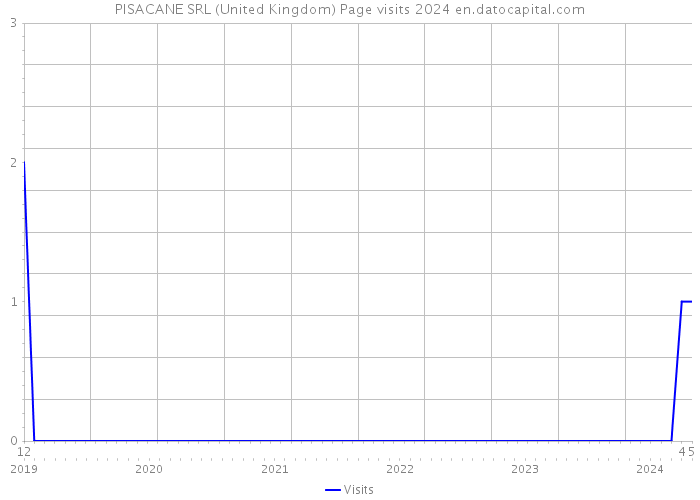 PISACANE SRL (United Kingdom) Page visits 2024 