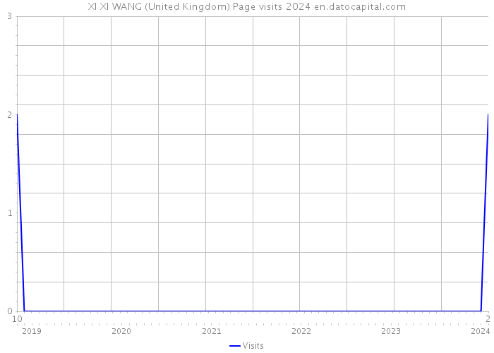 XI XI WANG (United Kingdom) Page visits 2024 