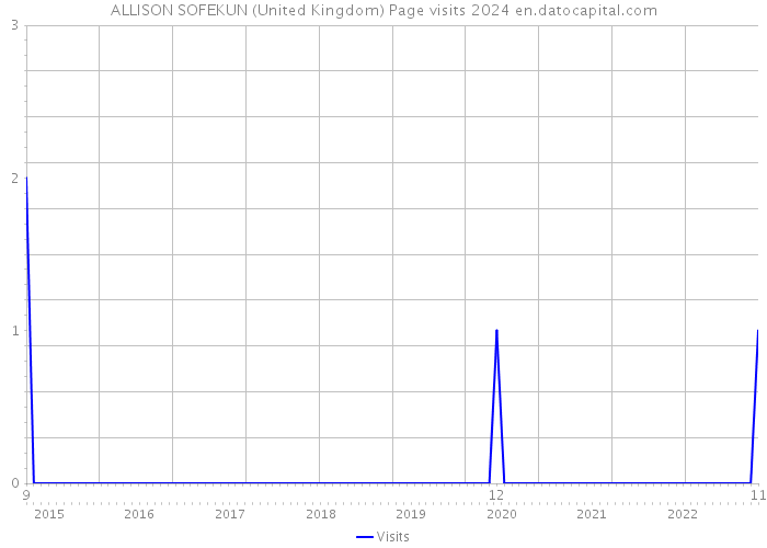 ALLISON SOFEKUN (United Kingdom) Page visits 2024 