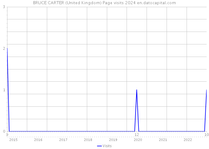 BRUCE CARTER (United Kingdom) Page visits 2024 