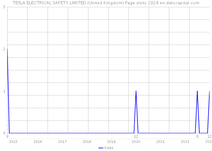 TESLA ELECTRICAL SAFETY LIMITED (United Kingdom) Page visits 2024 