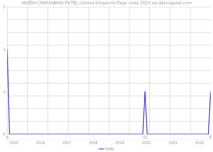 NILESH CHIMANBHAI PATEL (United Kingdom) Page visits 2024 