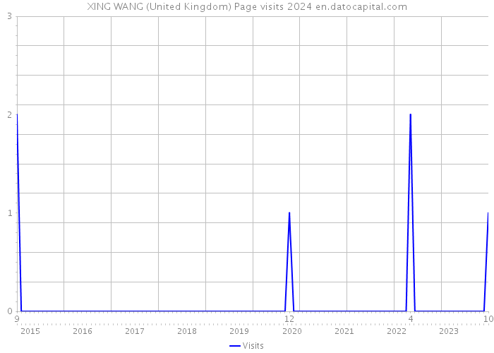 XING WANG (United Kingdom) Page visits 2024 