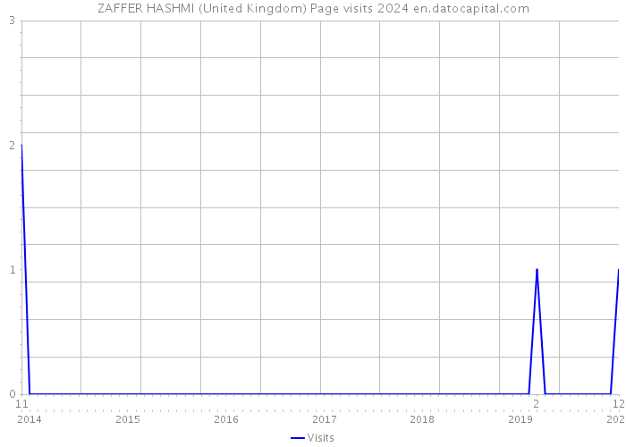 ZAFFER HASHMI (United Kingdom) Page visits 2024 