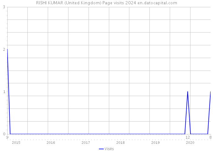 RISHI KUMAR (United Kingdom) Page visits 2024 