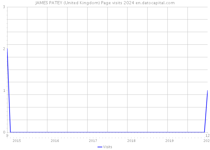 JAMES PATEY (United Kingdom) Page visits 2024 