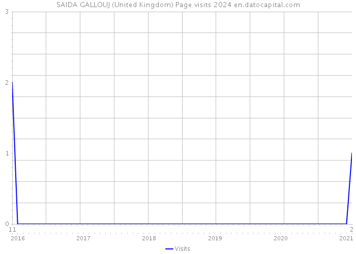 SAIDA GALLOUJ (United Kingdom) Page visits 2024 
