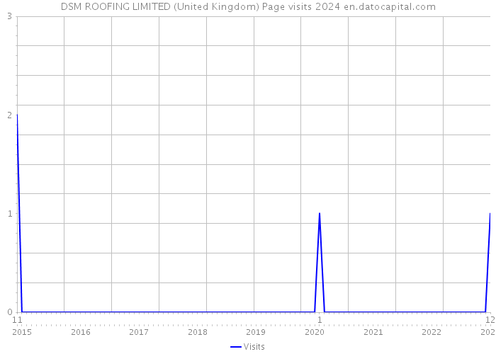 DSM ROOFING LIMITED (United Kingdom) Page visits 2024 