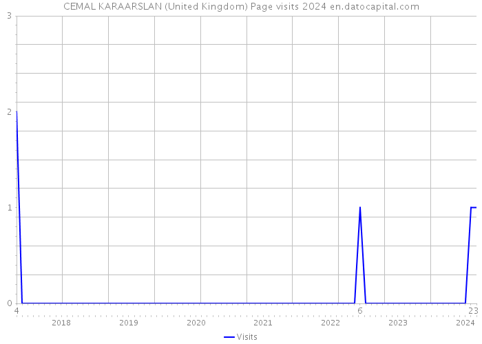 CEMAL KARAARSLAN (United Kingdom) Page visits 2024 