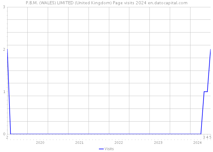 P.B.M. (WALES) LIMITED (United Kingdom) Page visits 2024 