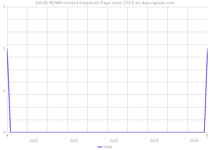 DAVID BOWN (United Kingdom) Page visits 2024 