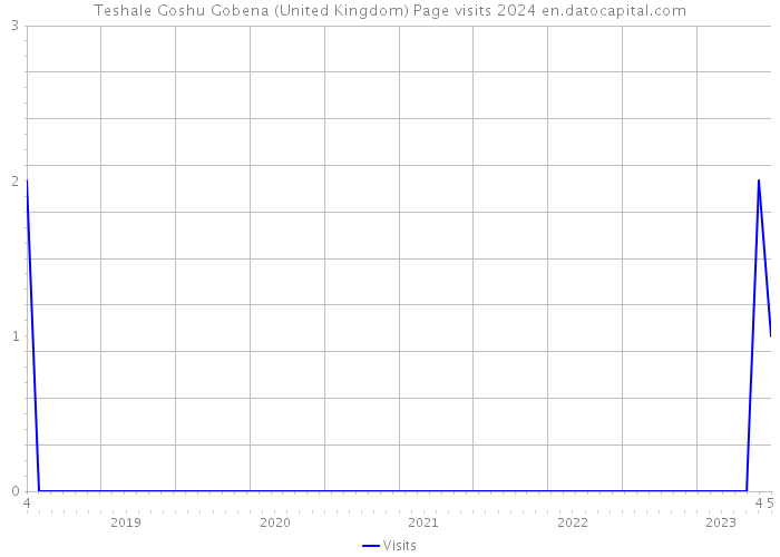 Teshale Goshu Gobena (United Kingdom) Page visits 2024 