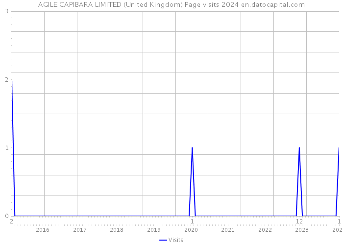 AGILE CAPIBARA LIMITED (United Kingdom) Page visits 2024 