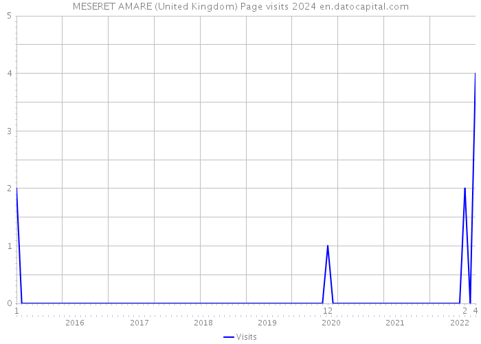 MESERET AMARE (United Kingdom) Page visits 2024 