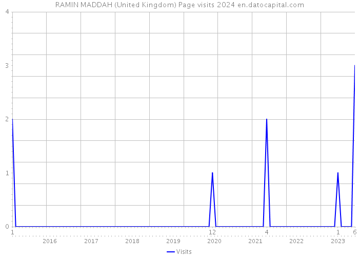 RAMIN MADDAH (United Kingdom) Page visits 2024 