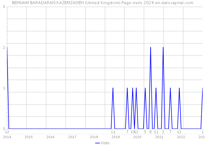 BEHNAM BARADARAN KAZEMZADEH (United Kingdom) Page visits 2024 