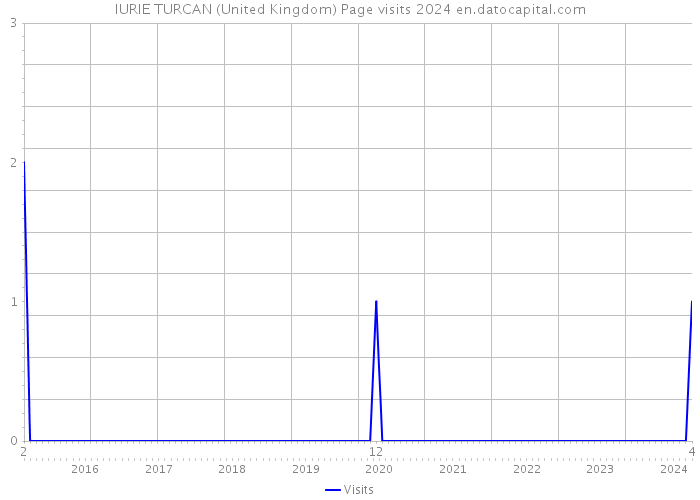 IURIE TURCAN (United Kingdom) Page visits 2024 