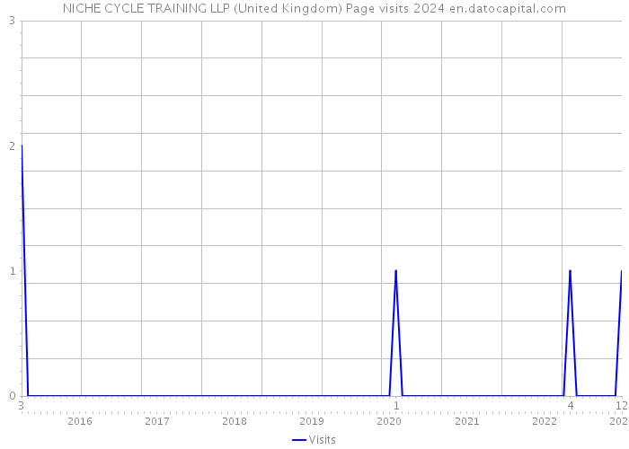 NICHE CYCLE TRAINING LLP (United Kingdom) Page visits 2024 