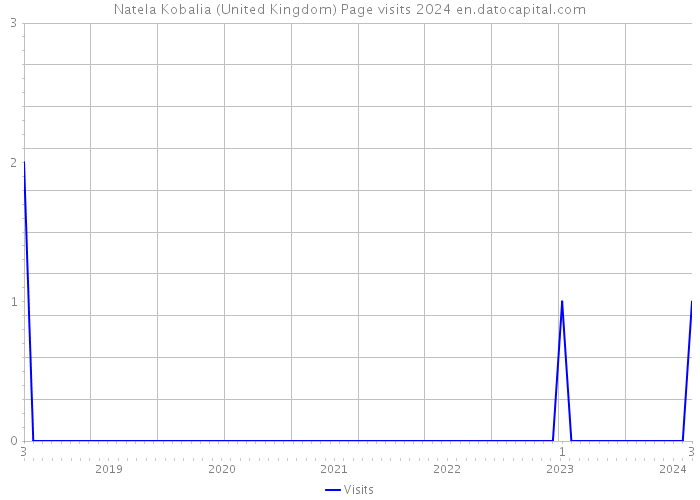 Natela Kobalia (United Kingdom) Page visits 2024 