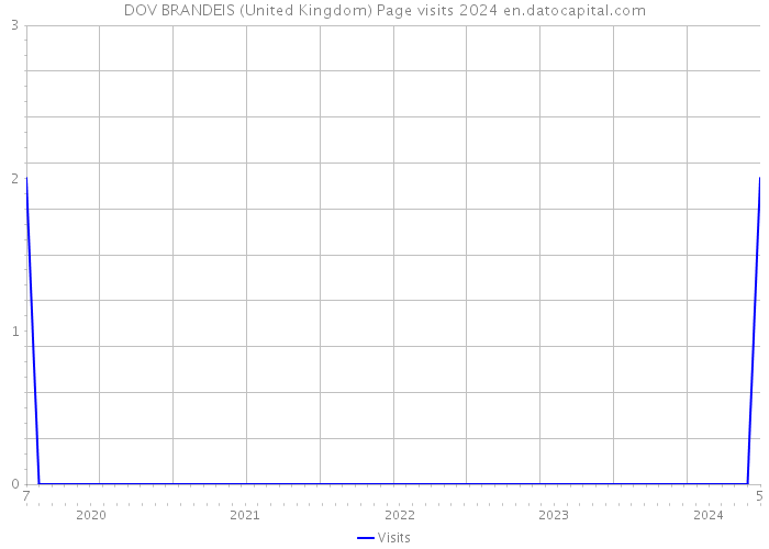 DOV BRANDEIS (United Kingdom) Page visits 2024 