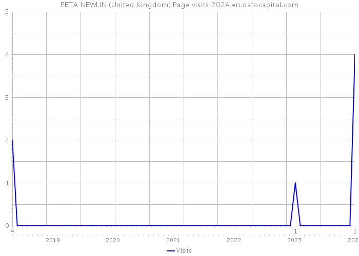 PETA NEWLIN (United Kingdom) Page visits 2024 