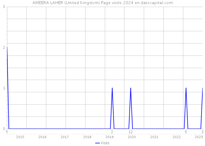 AMEERA LAHER (United Kingdom) Page visits 2024 