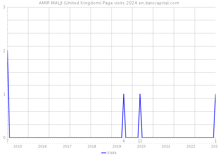 AMIR MALJI (United Kingdom) Page visits 2024 