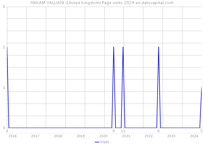HAKAM VALLIANI (United Kingdom) Page visits 2024 