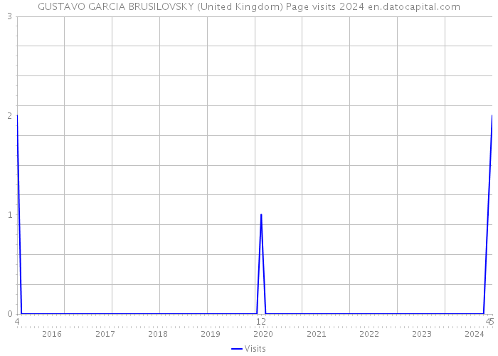GUSTAVO GARCIA BRUSILOVSKY (United Kingdom) Page visits 2024 