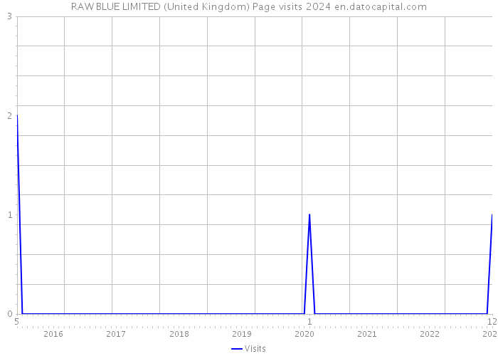 RAW BLUE LIMITED (United Kingdom) Page visits 2024 