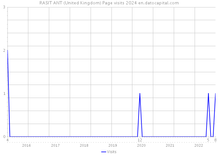 RASIT ANT (United Kingdom) Page visits 2024 