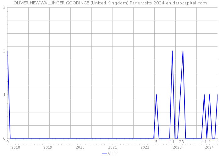 OLIVER HEW WALLINGER GOODINGE (United Kingdom) Page visits 2024 