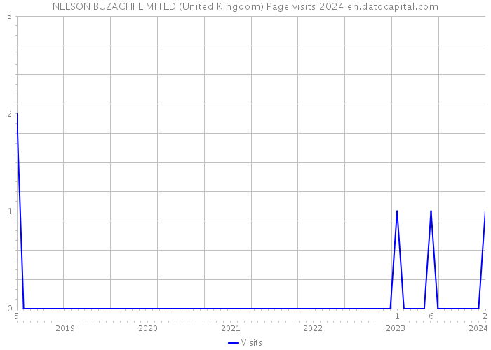 NELSON BUZACHI LIMITED (United Kingdom) Page visits 2024 