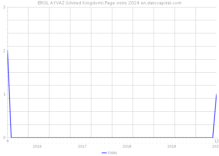 EROL AYVAZ (United Kingdom) Page visits 2024 