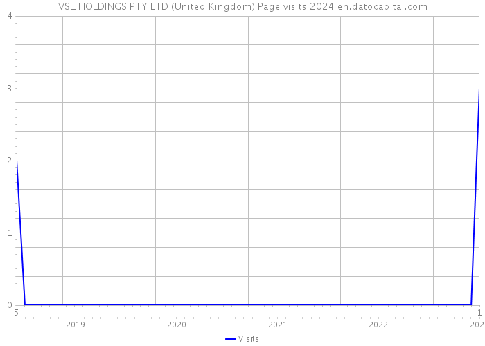 VSE HOLDINGS PTY LTD (United Kingdom) Page visits 2024 