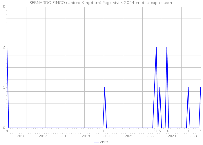 BERNARDO FINCO (United Kingdom) Page visits 2024 