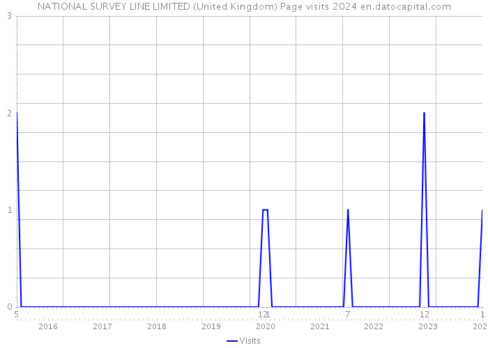 NATIONAL SURVEY LINE LIMITED (United Kingdom) Page visits 2024 