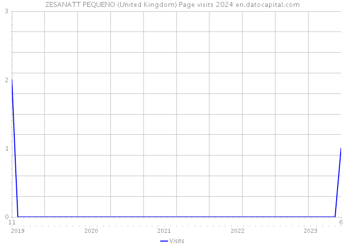 ZESANATT PEQUENO (United Kingdom) Page visits 2024 