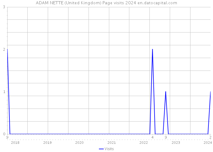ADAM NETTE (United Kingdom) Page visits 2024 