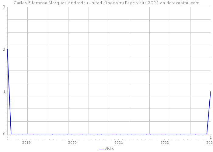 Carlos Filomena Marques Andrade (United Kingdom) Page visits 2024 