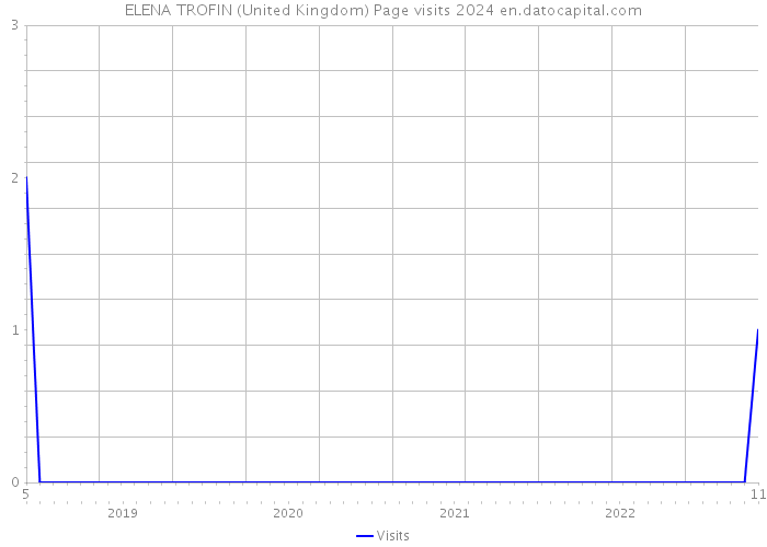 ELENA TROFIN (United Kingdom) Page visits 2024 