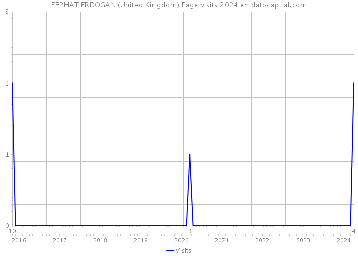FERHAT ERDOGAN (United Kingdom) Page visits 2024 