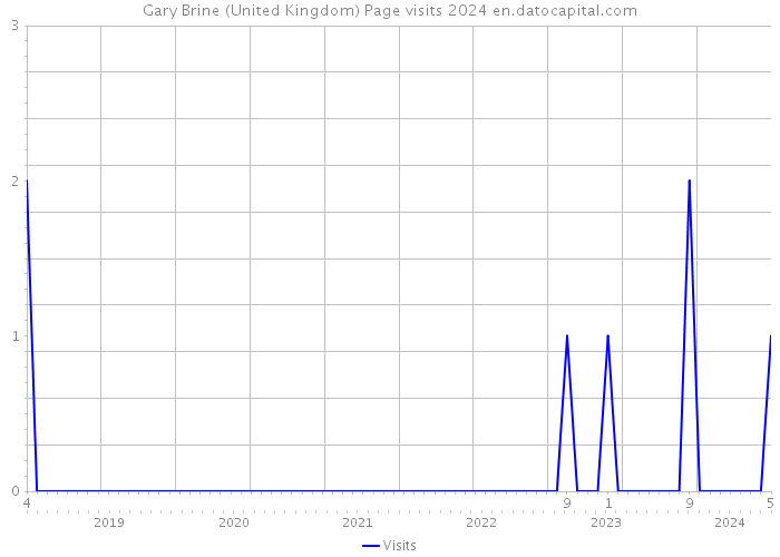 Gary Brine (United Kingdom) Page visits 2024 